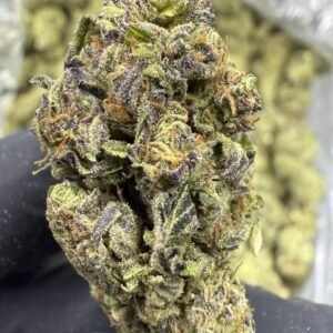 Gelato Mintz THCA Flower – Sungrown Top Cut
