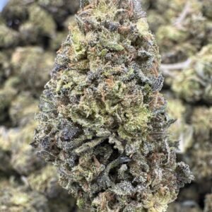 Georgia Pie THCA Flower – Sungrown Top Cut