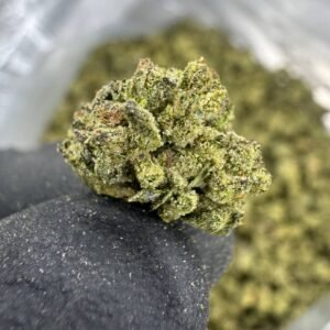 Georgia Pie THCA Flower – Greenhouse Gold Nuggets