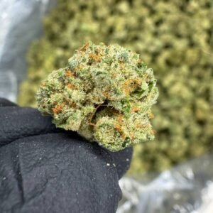 Glitter Bomb THCA Flower – Greenhouse Gold Nuggets