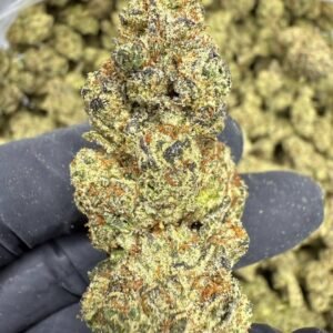 Glitterbomb THCA Flower – Greenhouse Top Cut