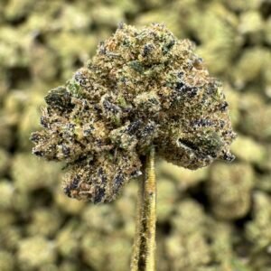 Grand Daddy Purple THCA Flower – Greenhouse Gold Nuggets