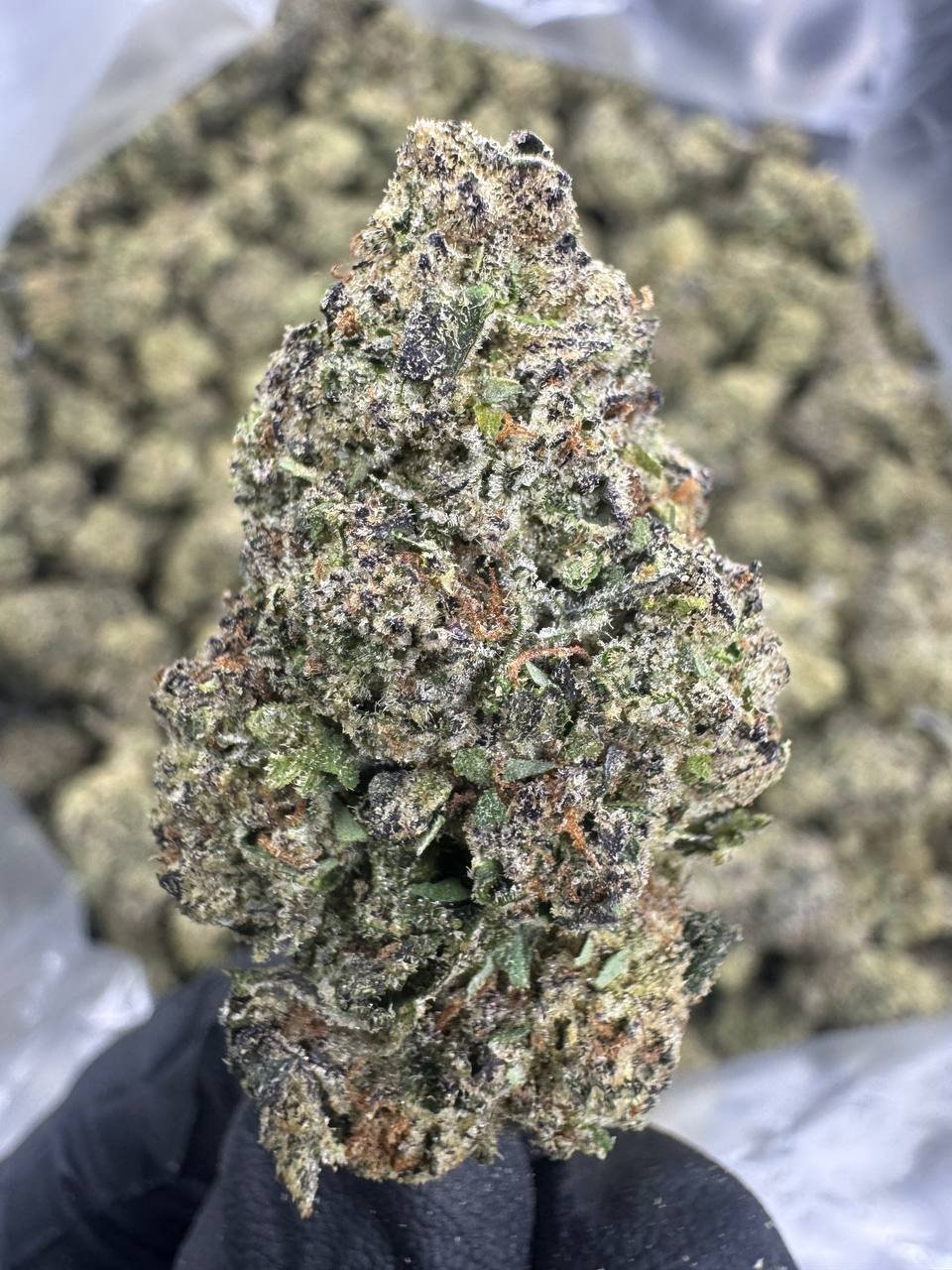 Grape Gas THCA Flower – Greenhouse Top Cut 1 Grape Gas THCA Flower – Greenhouse Top Cut
