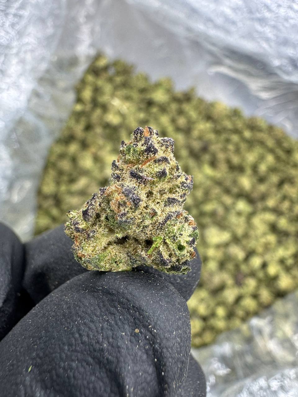 Grape Gas THCA Flower – Indoor Exotic Gold Nuggets 1 Grape Gas THCA Flower – Indoor Exotic Gold Nuggets