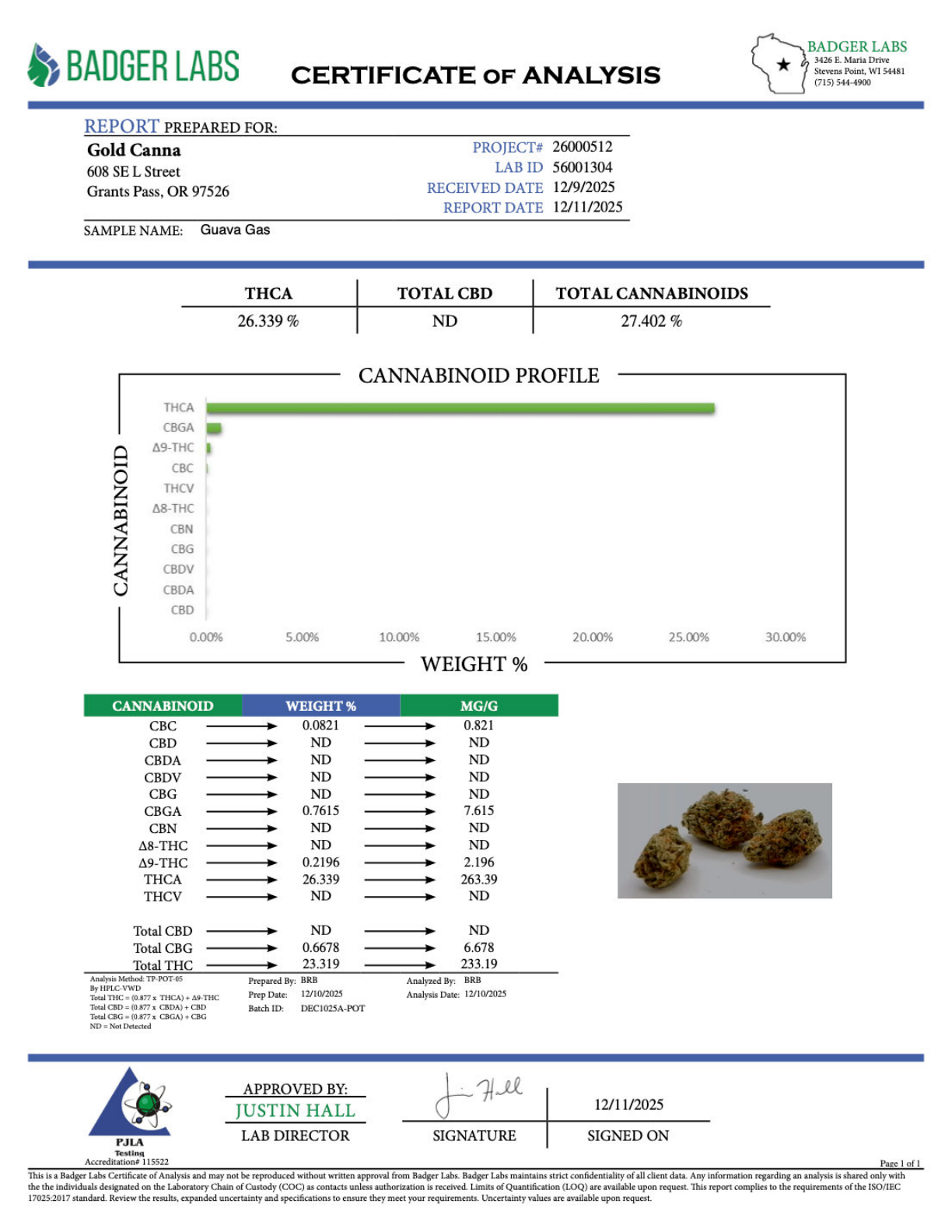 Guava Gas THCA Flower – Greenhouse Gold Nuggets 2 Guava Gas THCA Flower – Greenhouse Gold Nuggets - Image 2