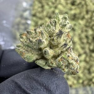 Guava Gas THCA Flower – Greenhouse Gold Nuggets