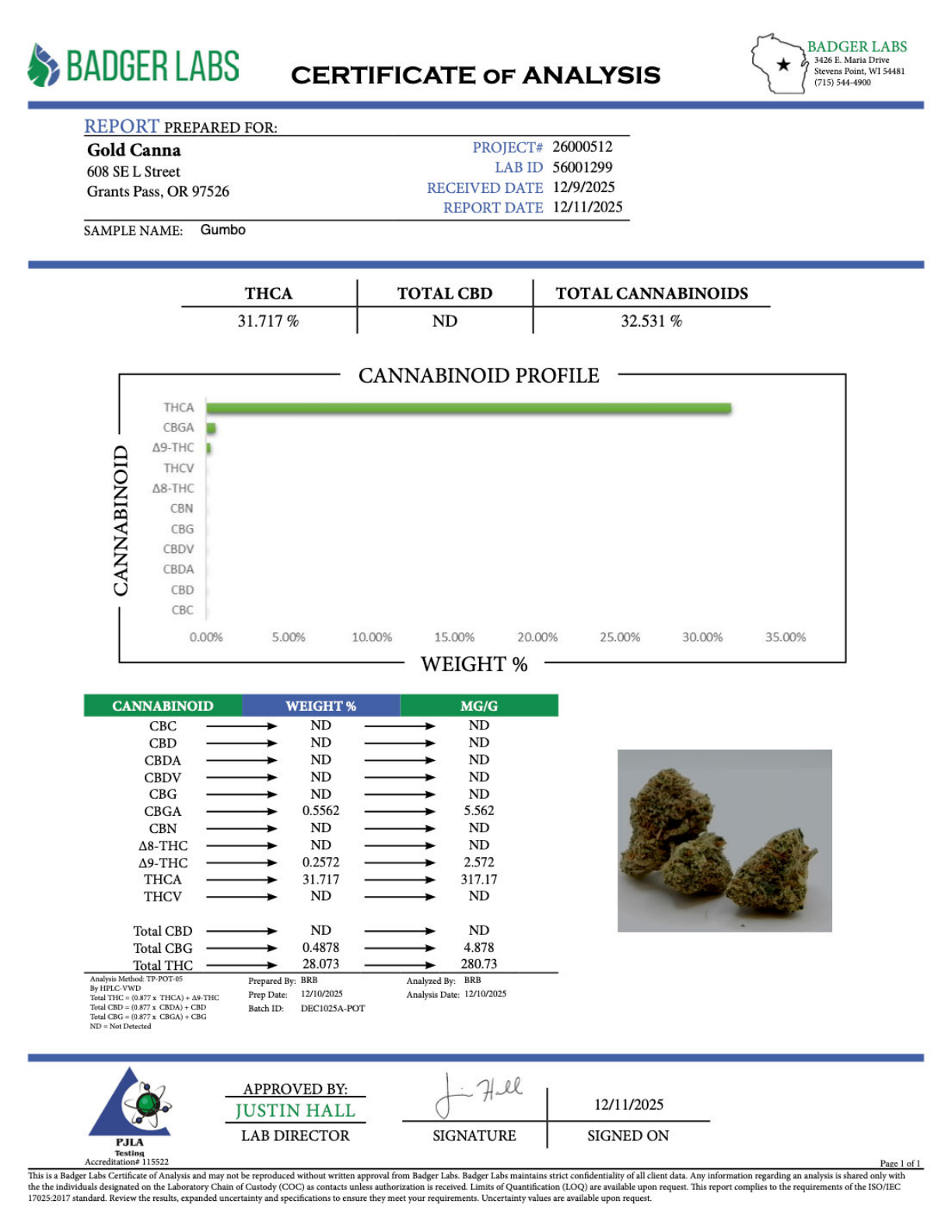Gumbo THCA Flower – Indoor Exotic Top Cut 2 Gumbo THCA Flower – Indoor Exotic Top Cut - Image 2
