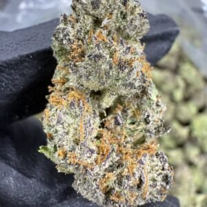 Gumbo THCA Flower – Indoor Exotic Top Cut