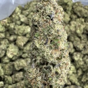 Hash Burger THCA Flower – Indoor Top Cut