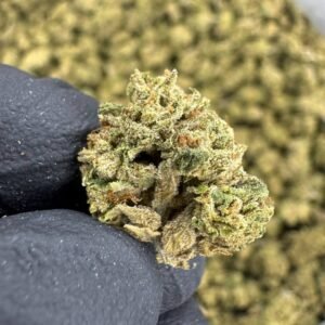Headband THCA Flower – Sungrown Gold Nuggets