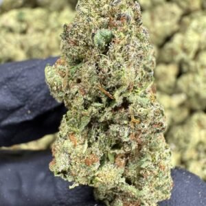 Headband THCA Flower – Sungrown Top Cut
