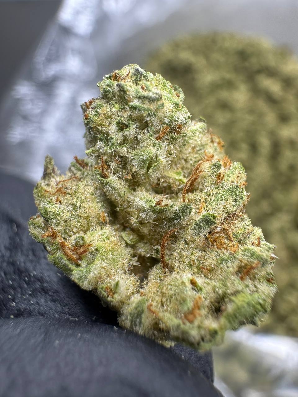 Ice Cream Cake THCA Flower – Greenhouse Gold Nuggets 1 Ice Cream Cake THCA Flower – Greenhouse Gold Nuggets