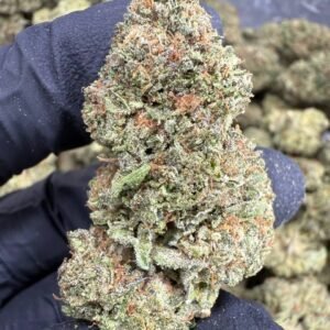 Ice Cream Cake THCA Flower – Sungrown Top Cut