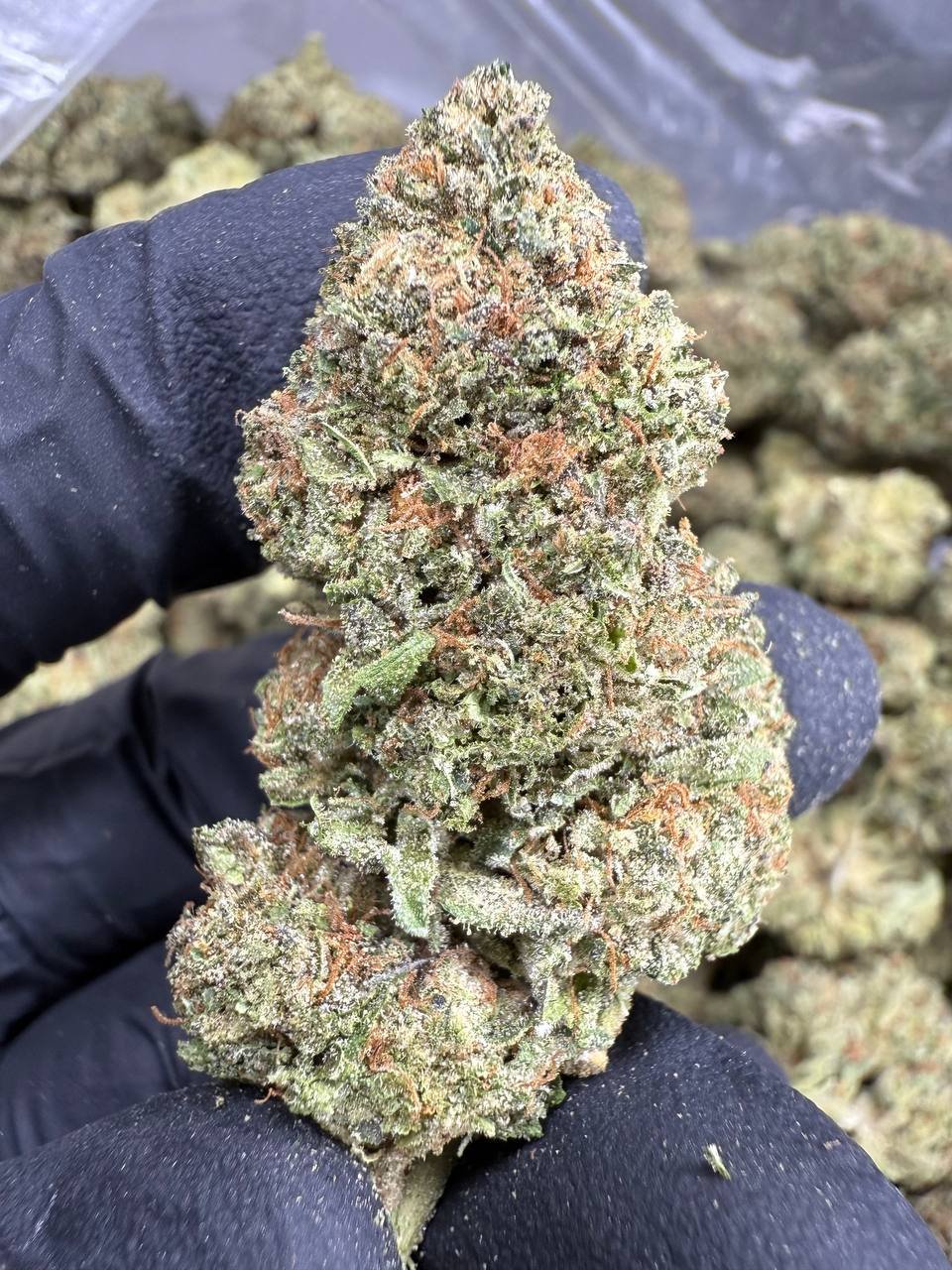 Ice Cream Cake THCA Flower – Sungrown Top Cut 1 Ice Cream Cake THCA Flower – Sungrown Top Cut