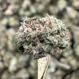 Jager THCA Flower – Sungrown Gold Nuggets