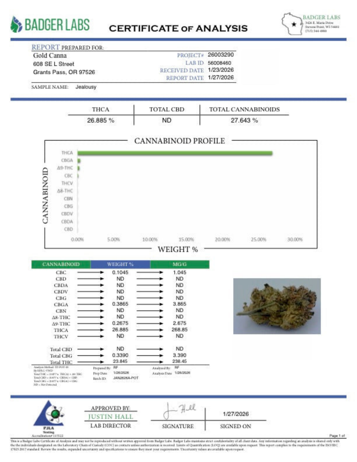 Jealousy THCA Flower – Greenhouse Gold Nuggets 2 Jealousy THCA Flower – Greenhouse Gold Nuggets - Image 2