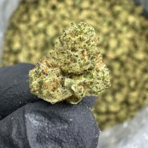 Lava Cake THCA Flower – Greenhouse Gold Nuggets