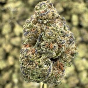 Layer Cake THCA Flower – Indoor Gold Nuggets