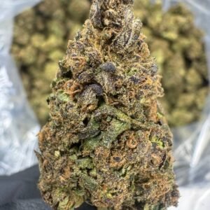 Legend Orange Apricot THCA Flower – Sungrown Top Cut