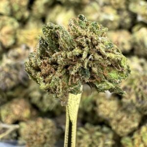 Lemon Cookie Dough CBD Flower – Sungrown Gold Nuggets