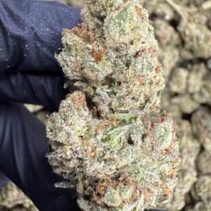 Lemon Cherry Gelato THCA Flower – Indoor Top Cut