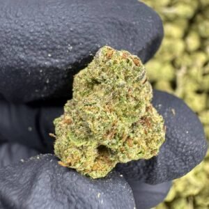 Lemon Cherry Gelato THCA Flower – Greenhouse Gold Nuggets