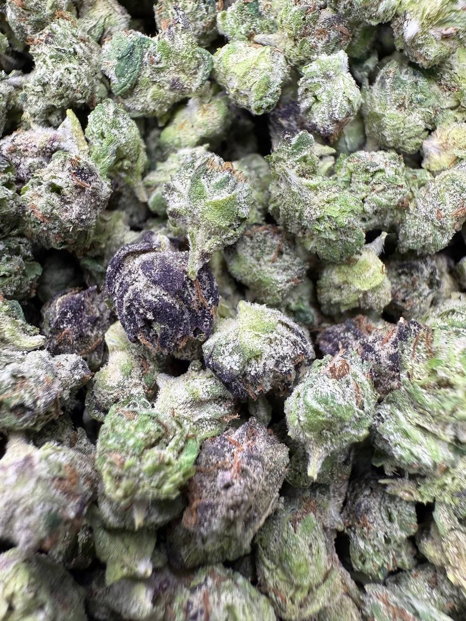 Lemon Cherry Runtz THCA Flower – Indoor Exotic 1 Lemon Cherry Runtz THCA Flower – Indoor Exotic