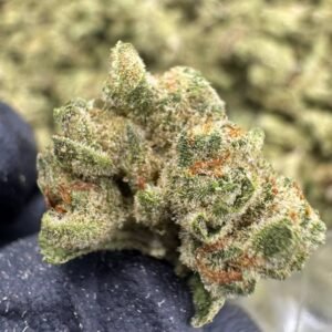 London Pound Cake THCA Flower – Greenhouse Gold Nuggets