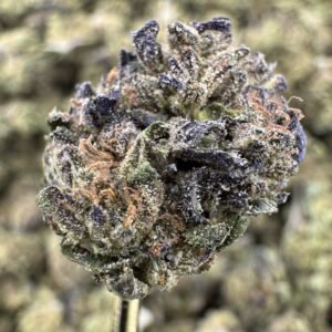 Magic Marker THCA Flower – Greenhouse Gold Nuggets