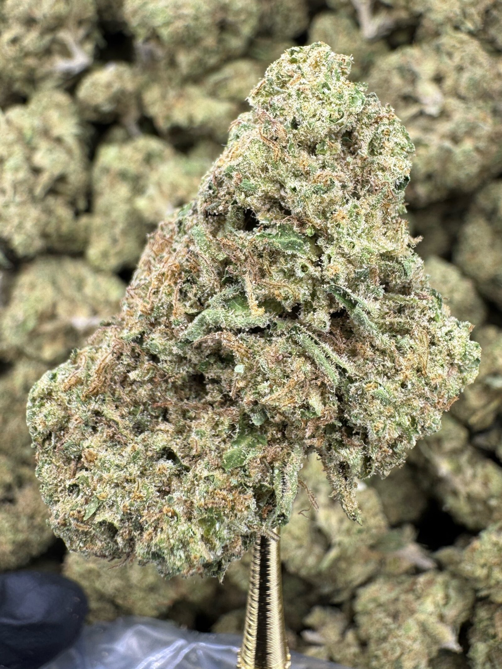Magic Marker THCA Flower – Greenhouse Top Cut 1 Magic Marker THCA Flower – Greenhouse Top Cut