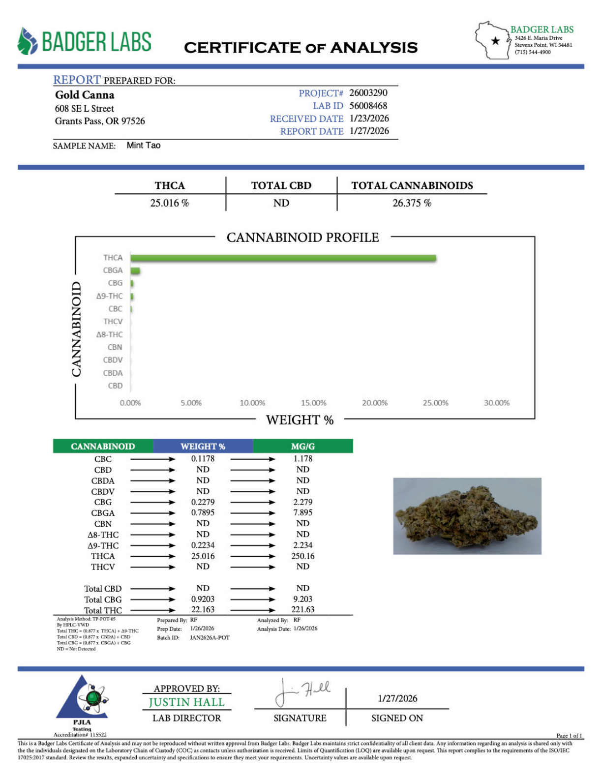 Mint Tao THCA Flower – Greenhouse Gold Nuggets 3 Mint Tao THCA Flower – Greenhouse Gold Nuggets - Image 3