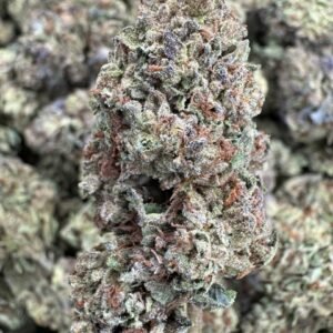 Motor Breath THCA Flower – Sungrown Top Cut