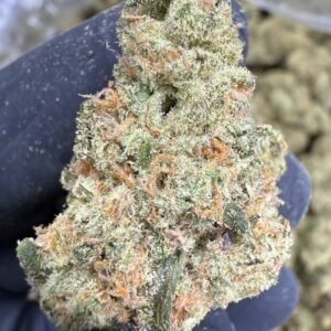 Mule Fuel THCA Flower – Indoor Exotic Top Cut
