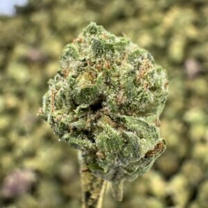 Mule Fuel THCA Flower – Greenhouse Gold Nuggets