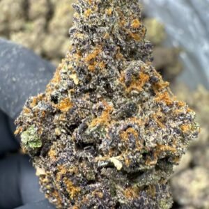 Pink Runtz THCA Flower – Indoor Exotic Top Cut