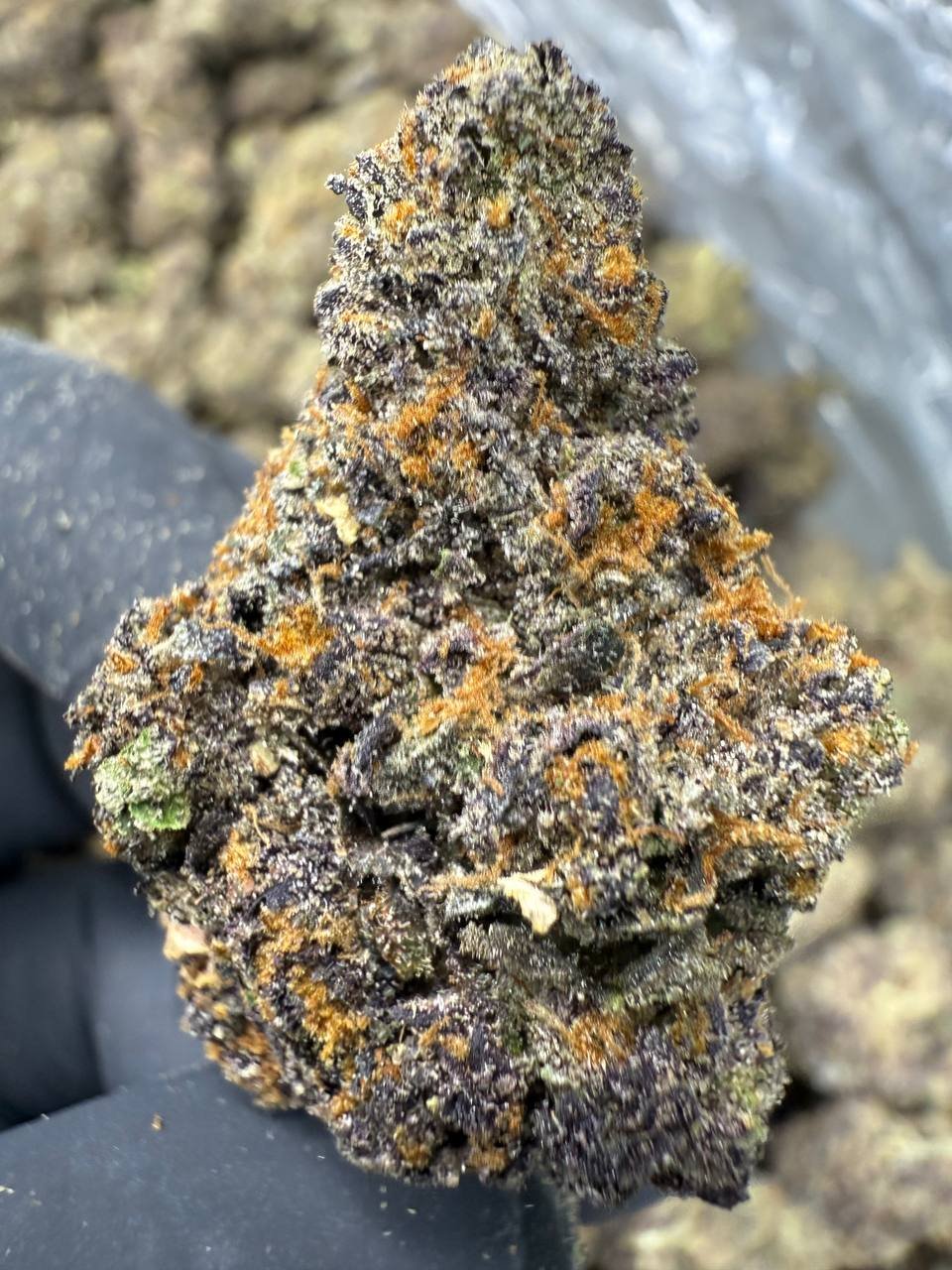 Pink Runtz THCA Flower – Indoor Exotic Top Cut 1 Pink Runtz THCA Flower – Indoor Exotic Top Cut