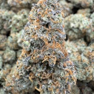 Planet Bang Bang THCA Flower – Indoor Exotic Top Cut
