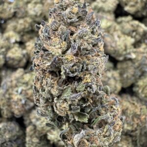 Platinum Cookies THCA Flower – Sungrown Top Cut