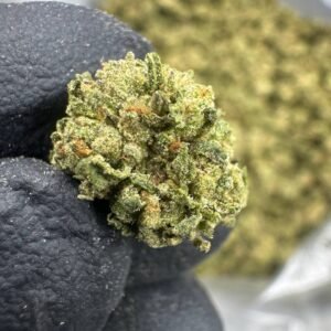 Punch Breath THCA Flower – Sungrown Gold Nuggets