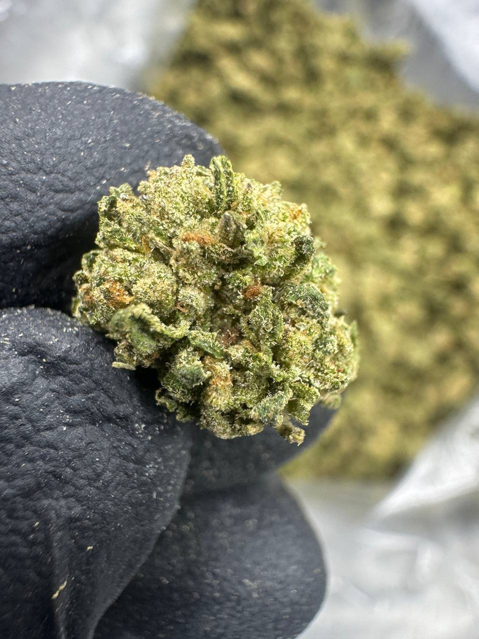 Punch Breath THCA Flower – Sungrown Gold Nuggets 1 Punch Breath THCA Flower – Sungrown Gold Nuggets