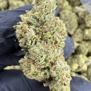 Rainbow Runtz THCA Flower – Sungrown Top Cut