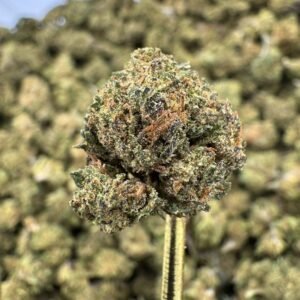 Rogue OG CBD Flower – Sungrown Gold Nuggets