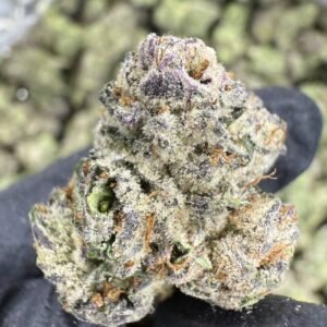 Runtz THCA Flower – Indoor Exotic Top Cut