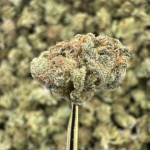 Runtz THCA Flower – Sungrown Gold Nuggets
