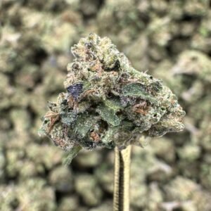 Sherbanger THCA Flower – Sungrown Gold Nuggets