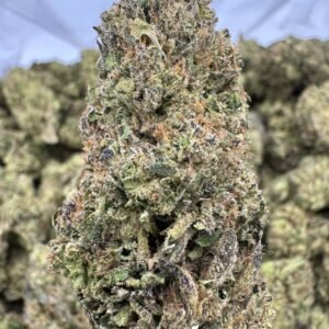 Sherblato THCA Flower – Greenhouse Top Cut