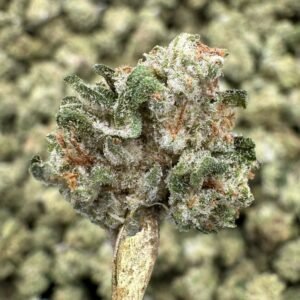 Sour Diesel THCA Flower – Greenhouse Gold Nuggets