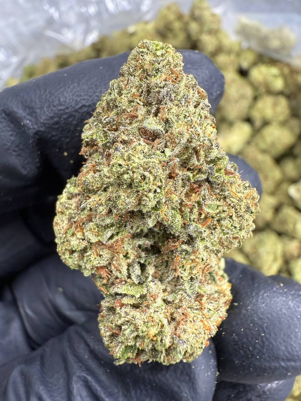 Sour Diesel THCA Flower – Greenhouse Top Cut 1 Sour Diesel THCA Flower – Greenhouse Top Cut
