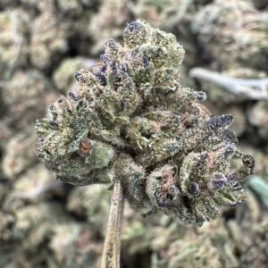 Spritzer THCA Flower – Greenhouse Gold Nuggets