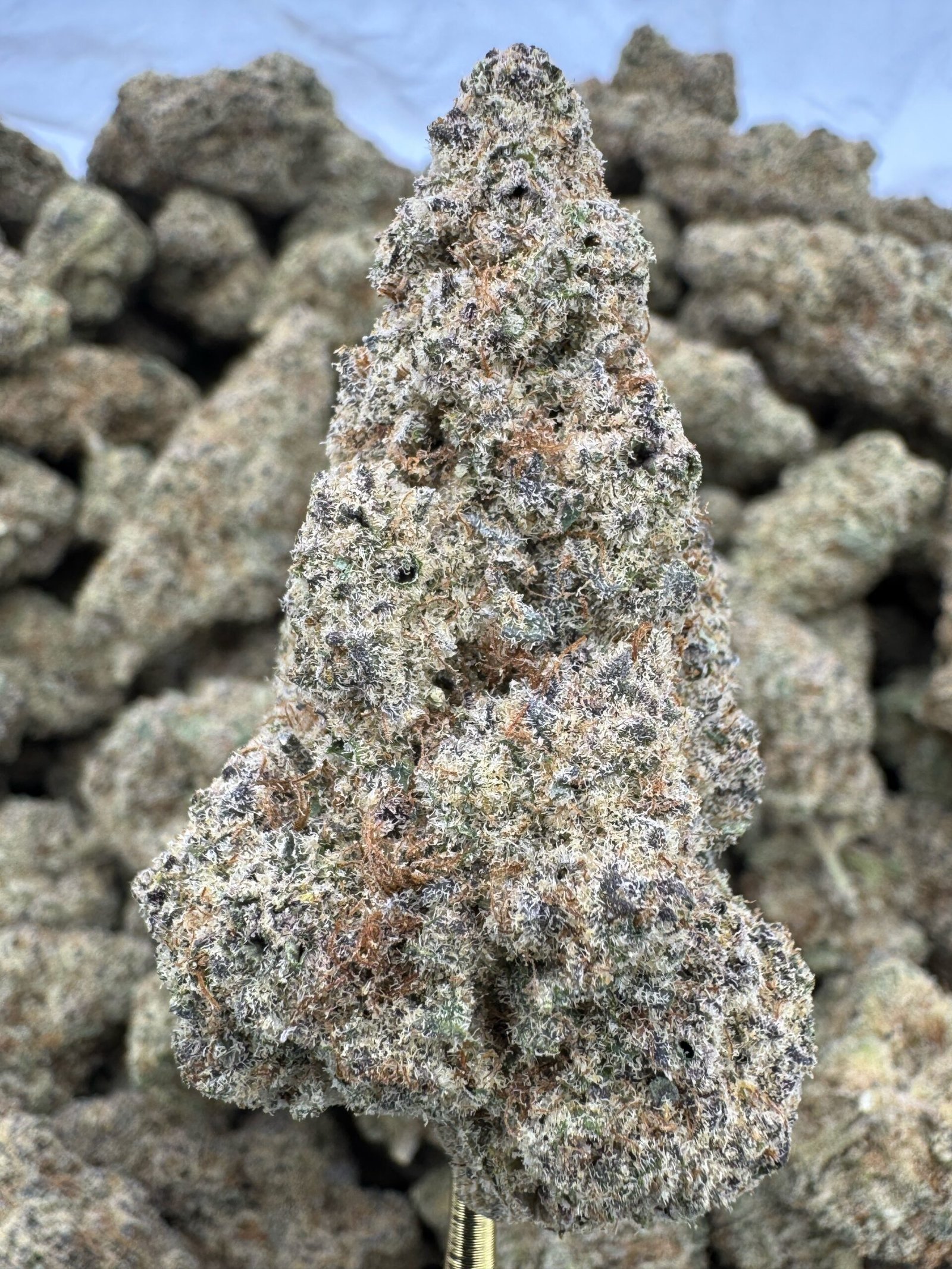 Sub Zero THCA Flower – Indoor Exotic Top Cut 1 Sub Zero THCA Flower – Indoor Exotic Top Cut